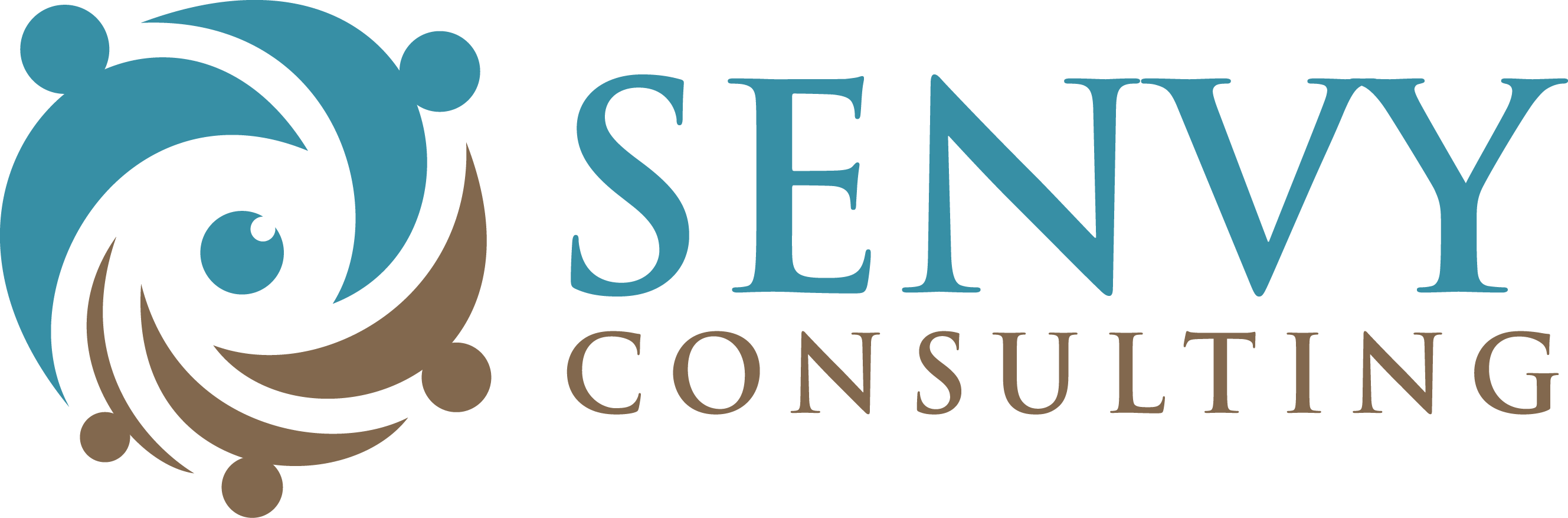 Senvy Consulting